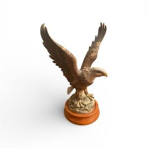 Bald Eagle by Andrea